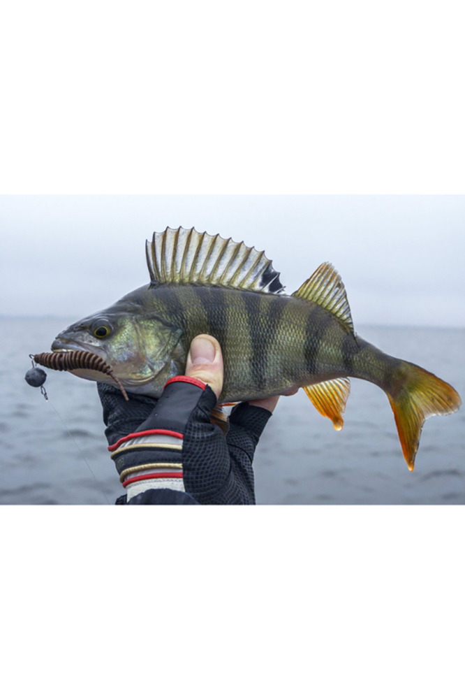 FishUp Tanta 6.1cm #036 Caramel/Green & Black 6.1cm Caramel/Green & Black [4]