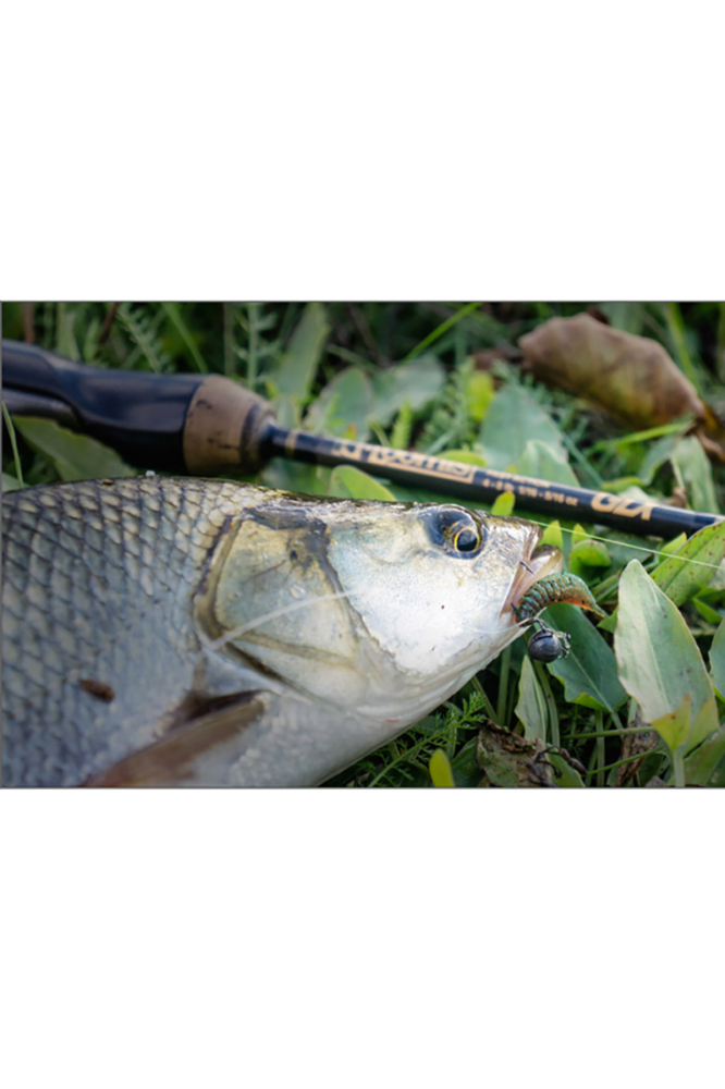 FishUp Tanta 6.1cm #055 Chartreuse/Black 6.1cm Chartreuse/Black [4]