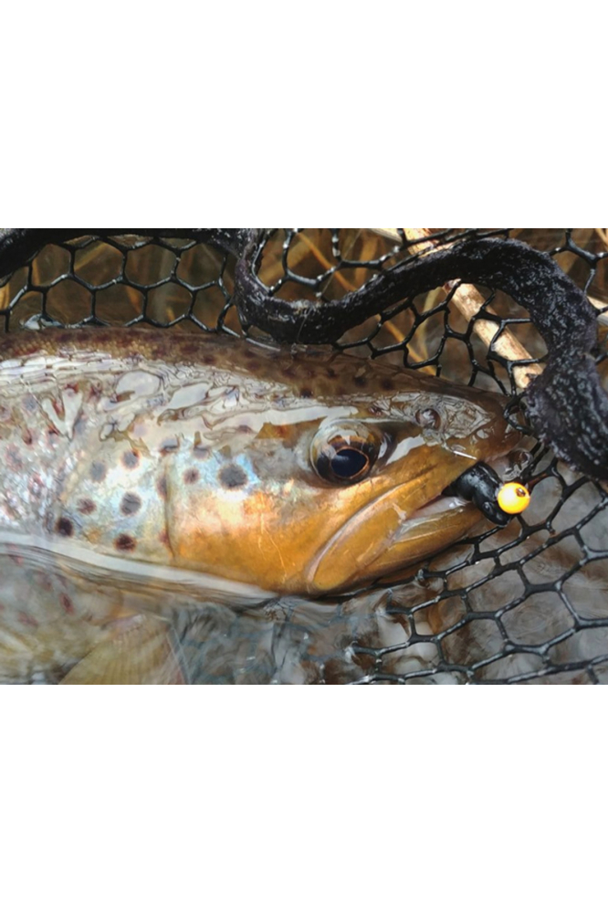 FishUp Trout Series Cheese Yochu 4.3cm #105 Apple Green 4.3cm #105 Apple Green [3]