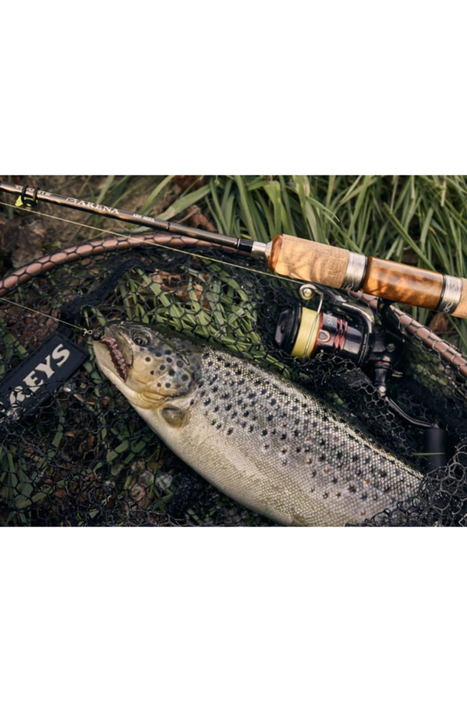 FishUp Trout Series Pupa Cheese 3.2cm #101 Black 3.2cm #101 Black [3]