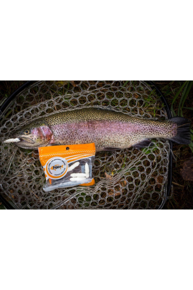 FishUp Trout Series Pupa Cheese 3.8cm #106 Earthworm 3.8cm #106 Earthworm [2]