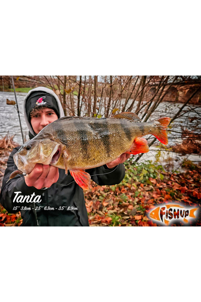 FishUp Trout Series Tanta Cheese 5cm #142 Bubble Gum Hot Orange 5cm #142 Bubble Gum Hot Orange [4]