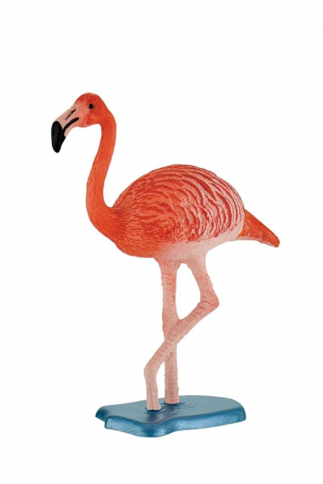 Flamingo [1]