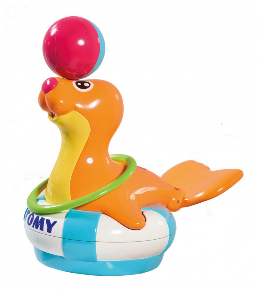 Foca sandy [1]