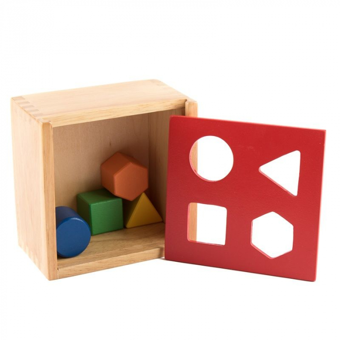 Sortare forme colorate in cutie, Viga Toys [4]