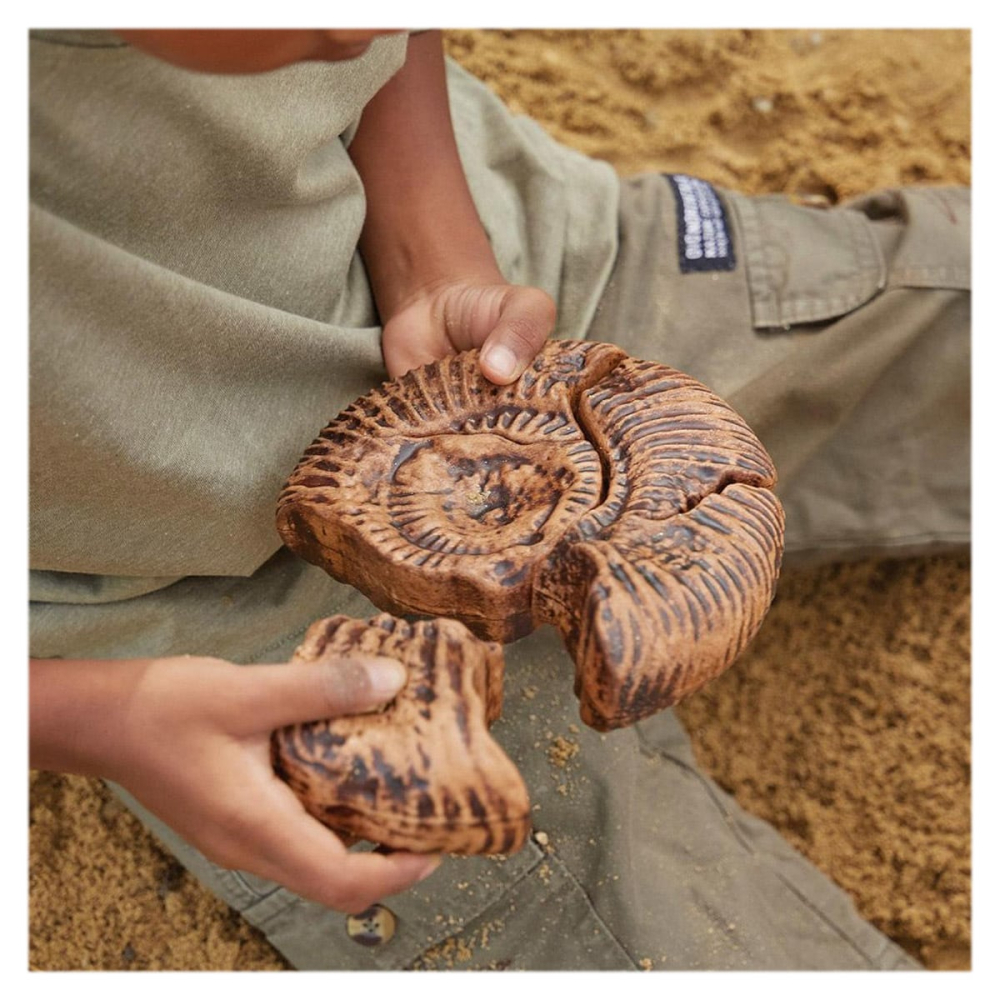 Fosile Ammonite, set magnetic 3D, Guidecraft, copii varsta 5+ ani [2]