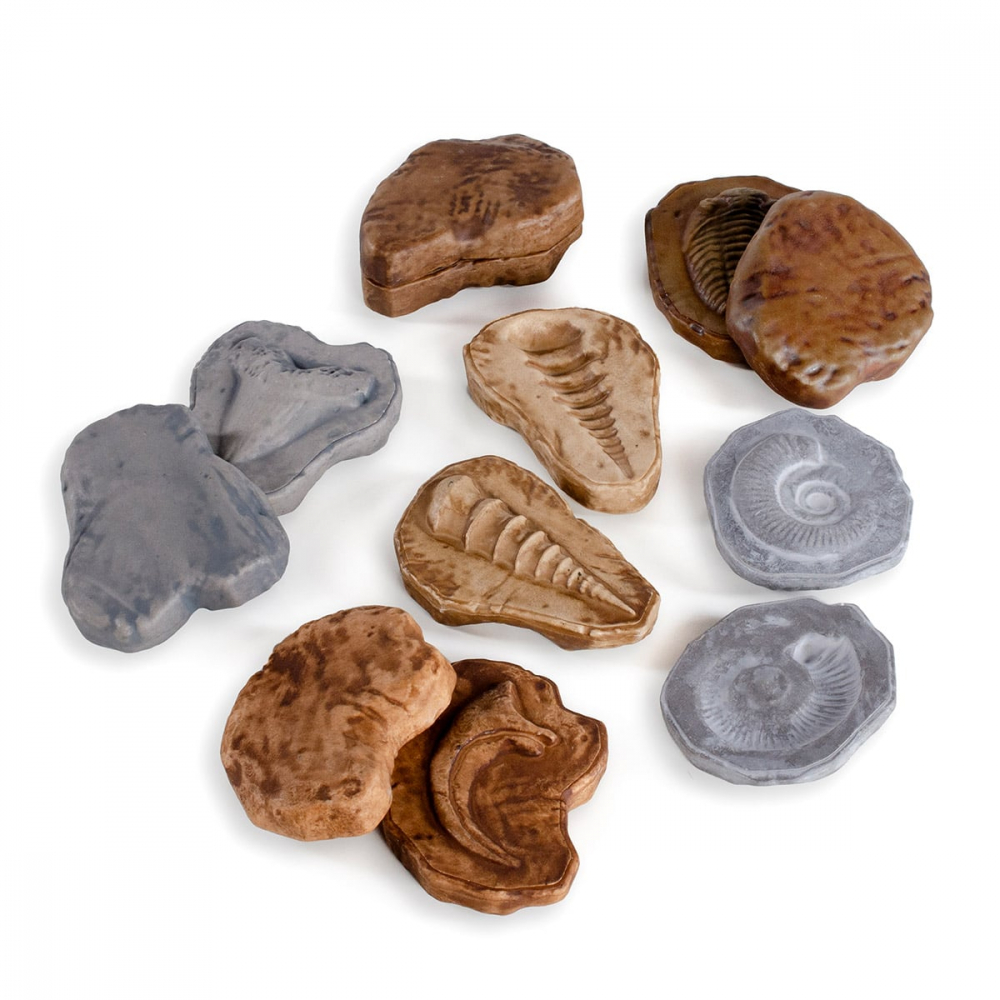 Fosile magnetice, set 6 perechi, Guidecraft, 2-7 ani [4]