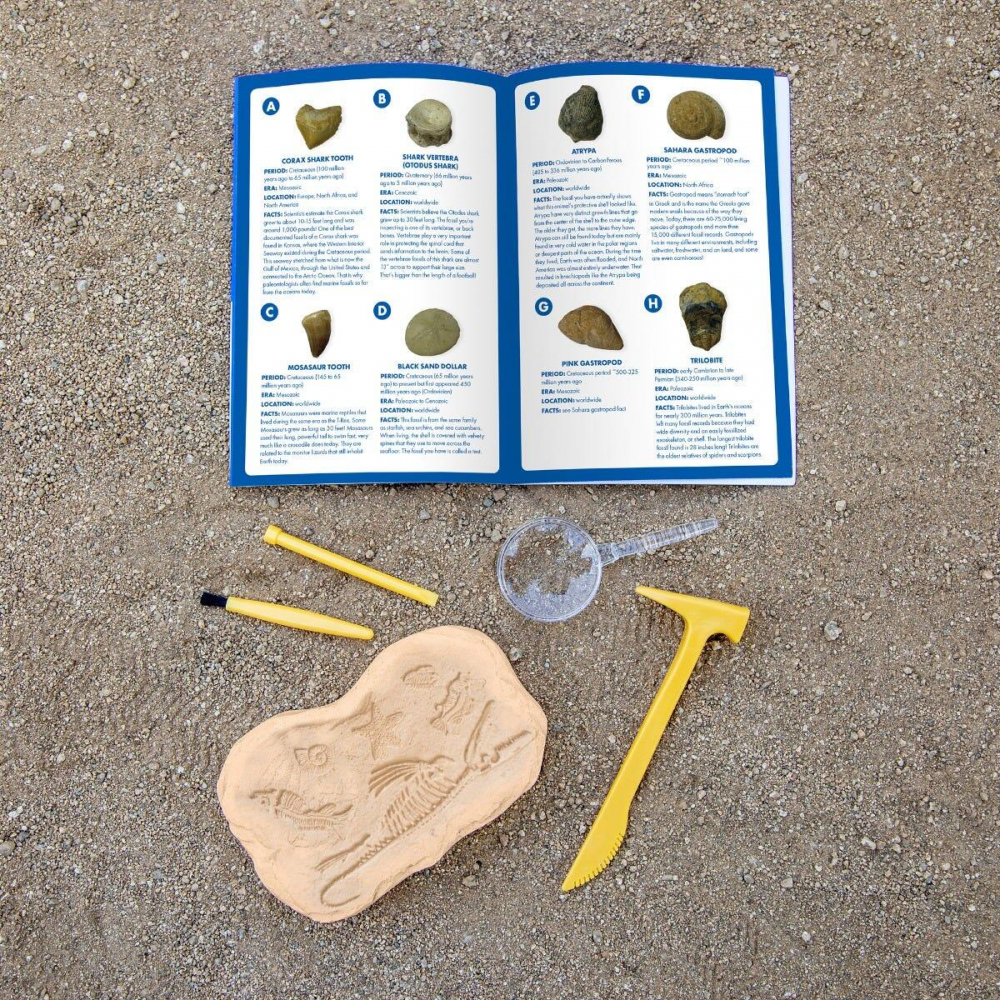 GeoSafari - Kit excavare fosile [4]