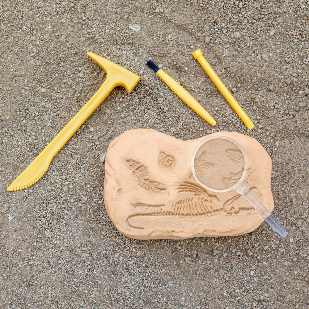 GeoSafari - Kit excavare fosile [5]