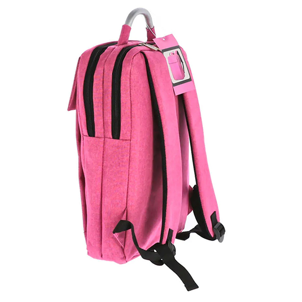 Ghiozdan laptop pink it usb 2 fermoare pigna [5]