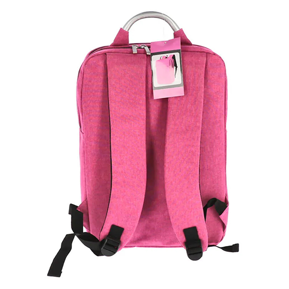 Ghiozdan laptop pink it usb 2 fermoare pigna [4]