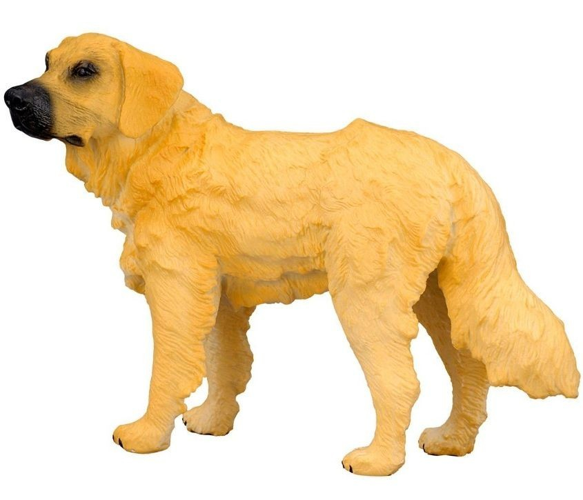 Golden Retriever M Collecta [1]