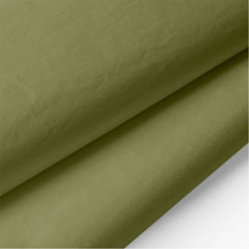 Hartie matase Colorarte, 66x50cm, verde fistic, set 100 coli [3]