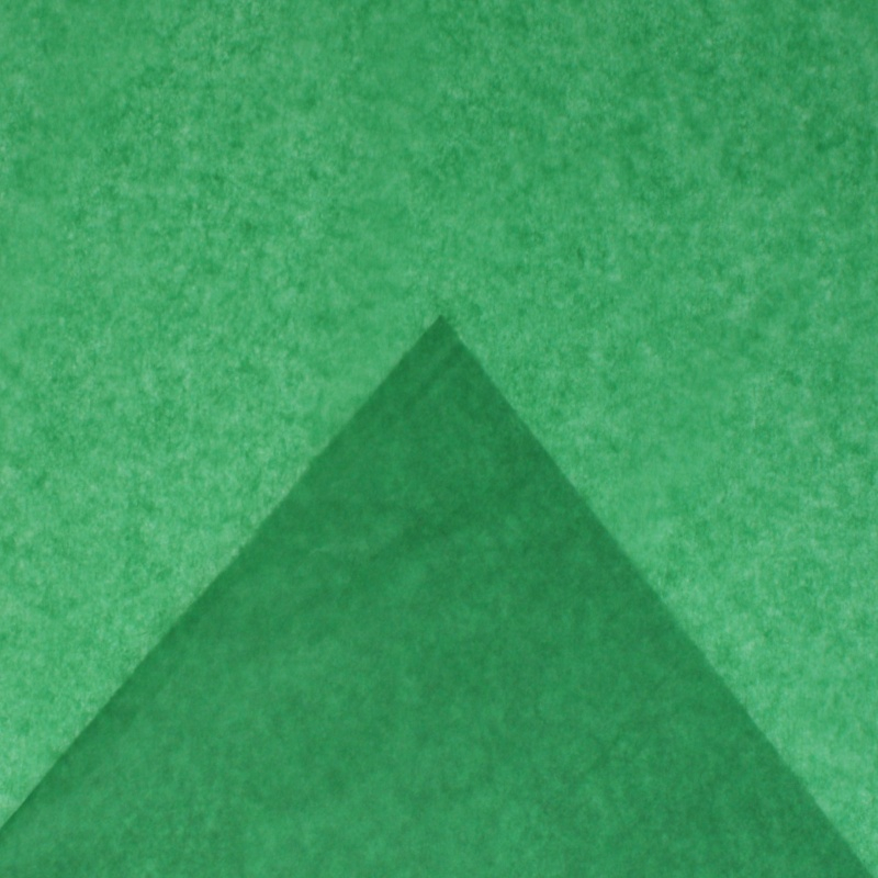Hartie matase Colorarte, 66x50cm, verde, set 100 coli [3]