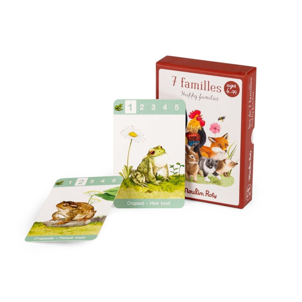 Joc de strategie Happy families, Moulin Roty Baiat, Fata, varsta +9 ani, 3 - 6 ani, 6 - 9 ani [5]