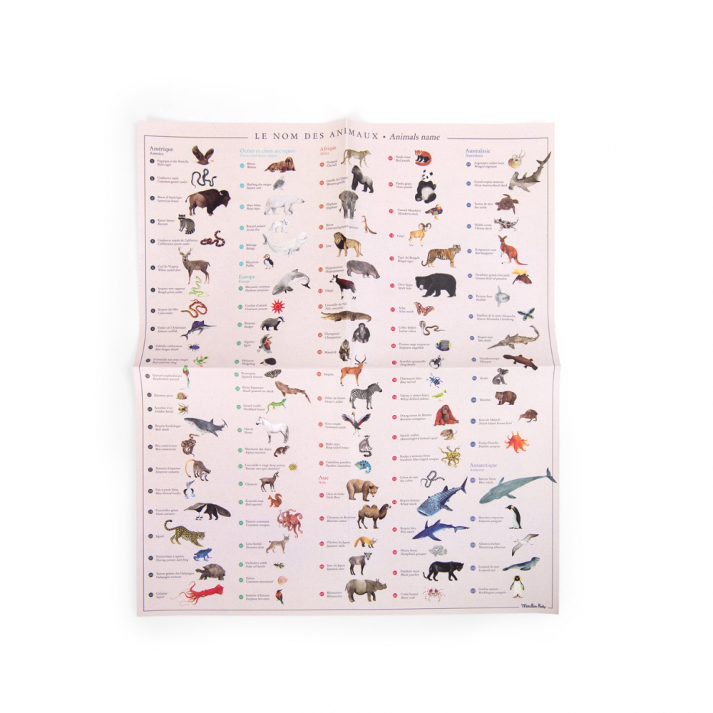 Joc de transfer Harta lumii, Moulin Roty, varsta 3 - 6, 6 - 9 ani, Baiat, Fata [4]
