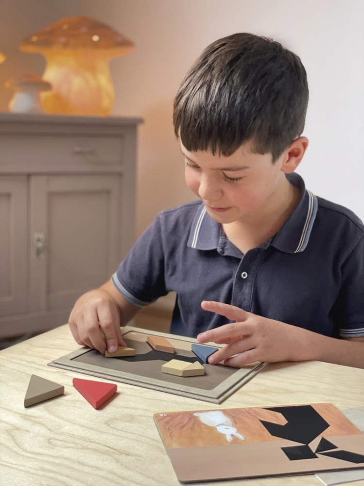 Joc magnetic Tangram, Egmont Toys, varsta 3 - 6, 6 - 9 ani, Baiat, Fata [2]