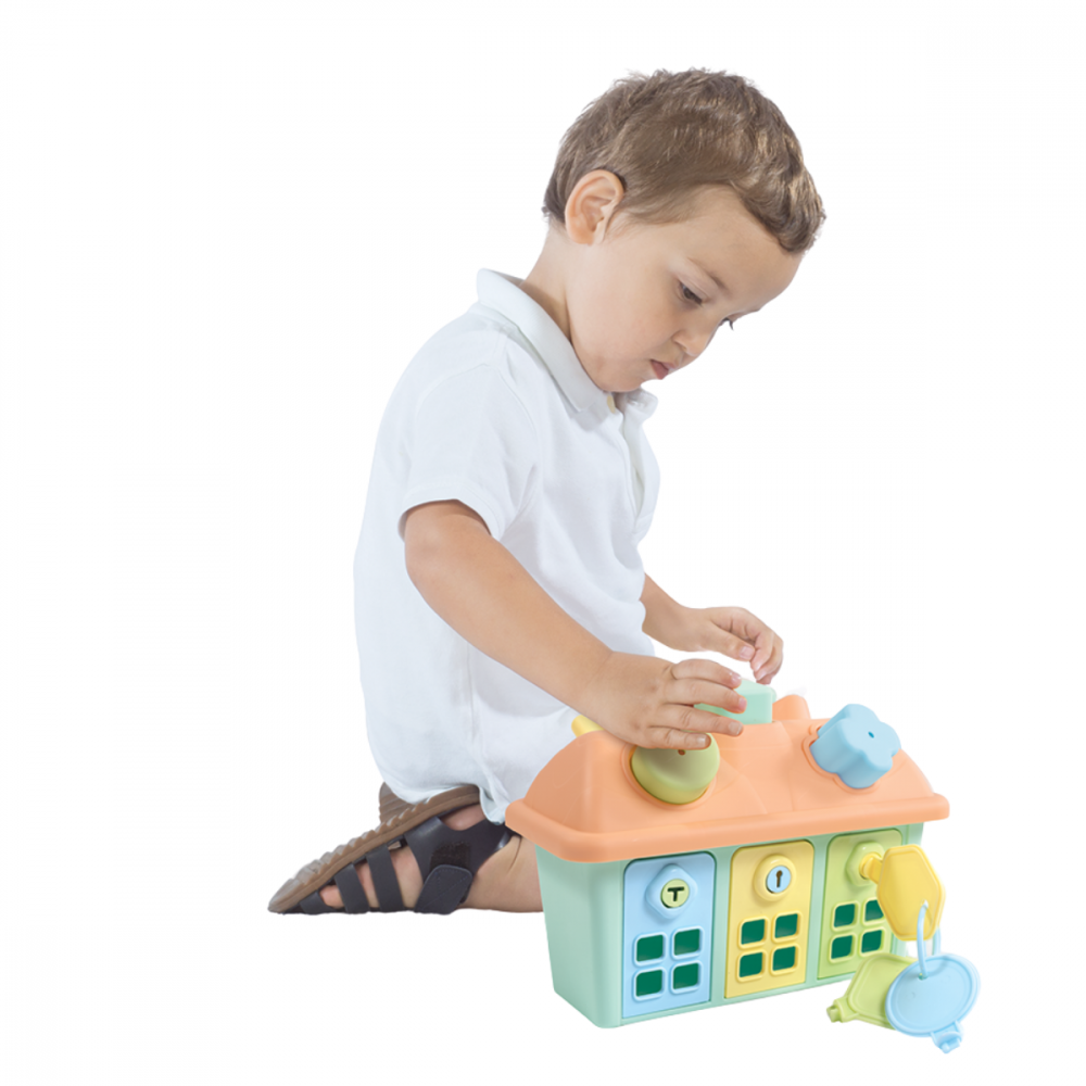 Joc sortare - Casuta pastel cu chei [2]