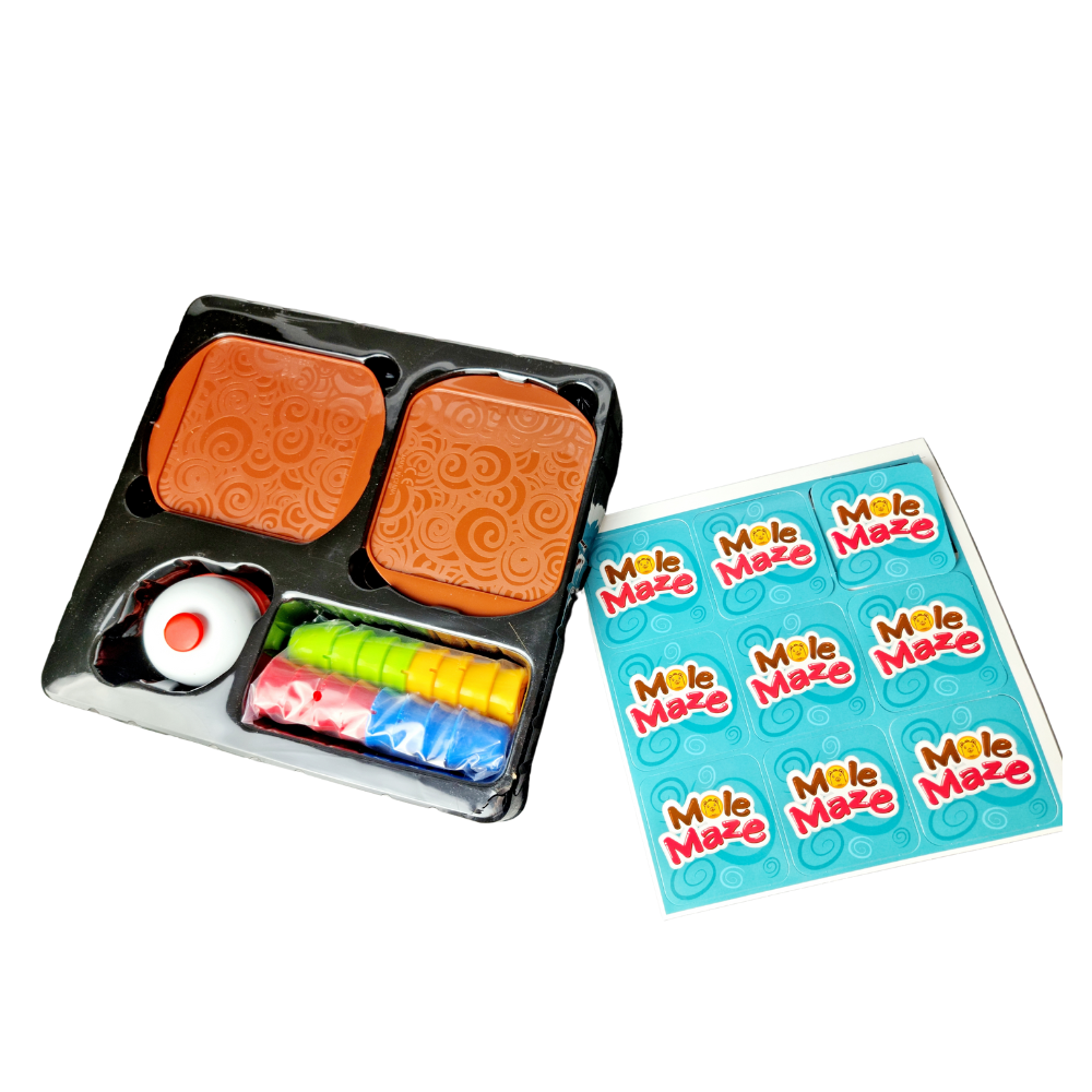 Joc STEAM 2 in 1 -  Labirintul cartitei [4]