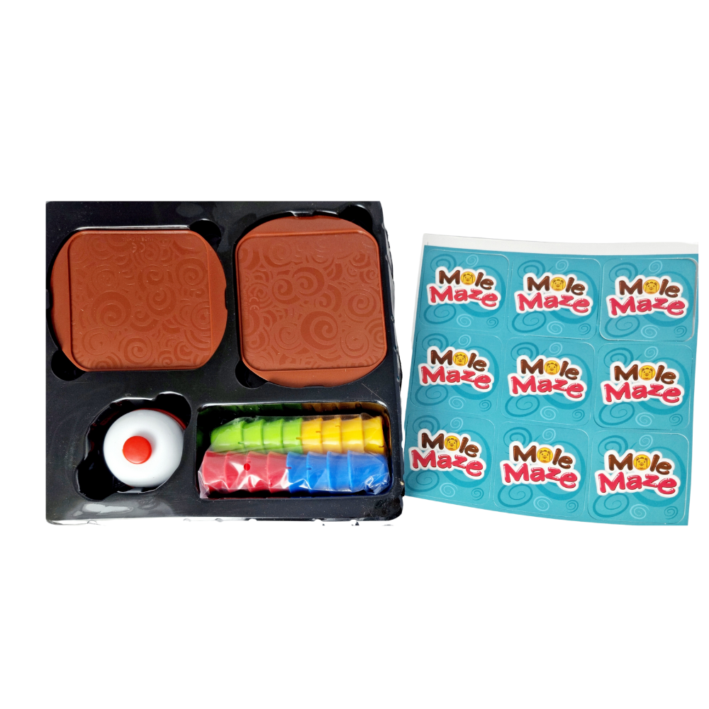 Joc STEAM 2 in 1 -  Labirintul cartitei [3]