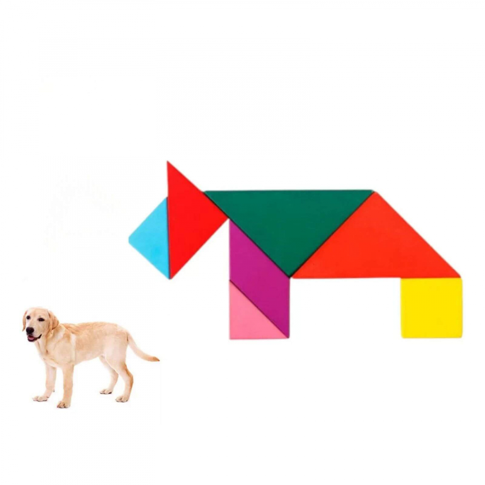 Puzzle educativ 3D tip Tangram, 16 piese 3 ani+ - Micostore.ro [6]