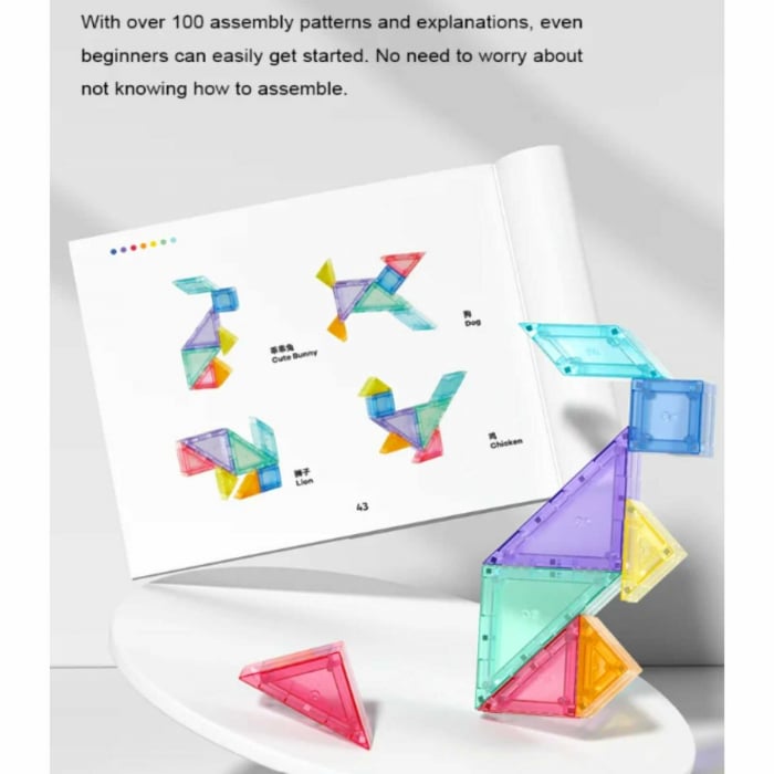 Joc Tangram Magnetic, 7 piese, Clepsidra si Brosura - Micostore.ro [5]