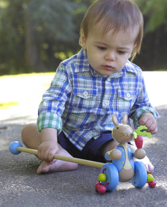 Jucarie de impins, Peter Rabbit™, Orange Tree Toys, varsta 1 - 3 ani, Baiat, Fata [2]
