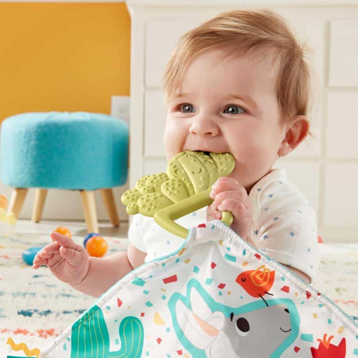 Jucarie dentitie cu paturica Cuddle Cactus, Fisher Price [2]