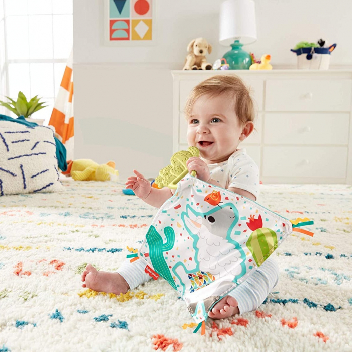 Jucarie dentitie cu paturica Cuddle Cactus, Fisher Price [3]