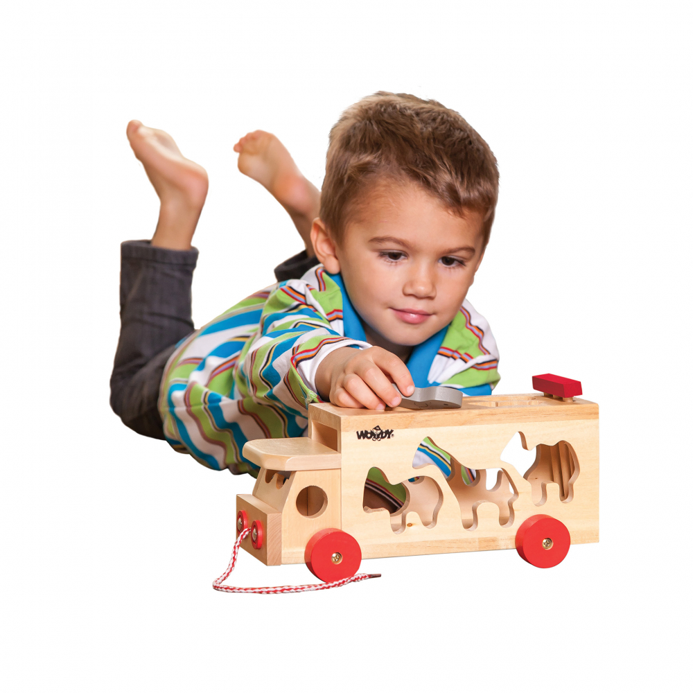 Jucarie din lemn - Camion de sortare cu forme [3]