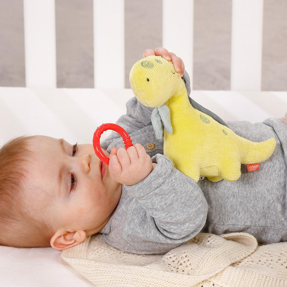 Jucarie muzicala mini - Dinozaur [4]