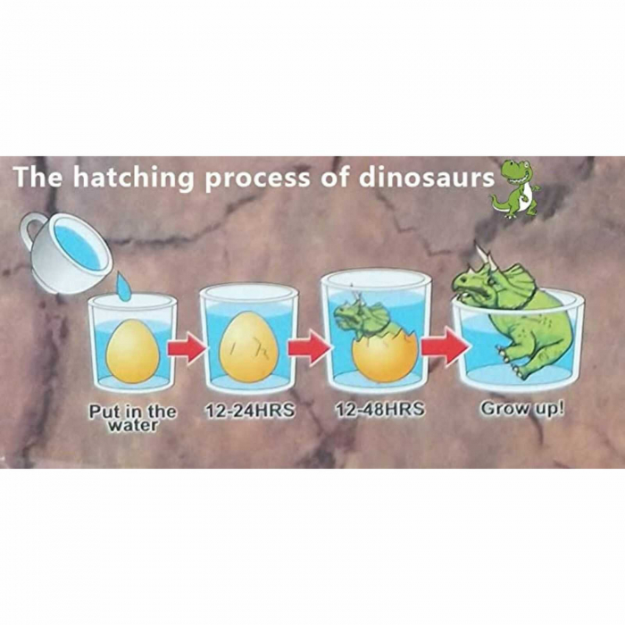 Oua de dinozauri care eclozeaza si cresc in apa - Micostore.ro [7]
