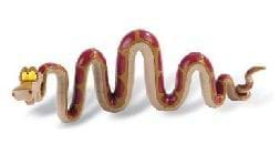 Kaa [1]