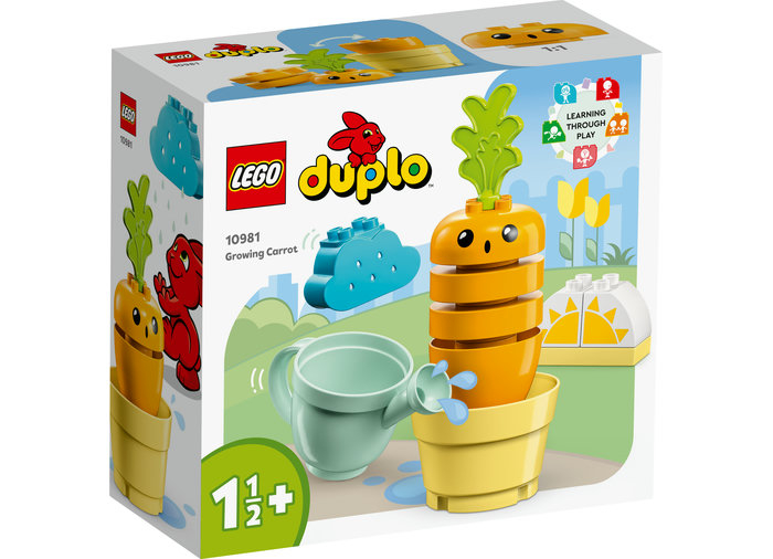 Kit de cultivare al morcovului, varsta de la 2 ani la 4 ani [2]