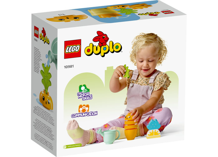 Kit de cultivare al morcovului, varsta de la 2 ani la 4 ani [3]