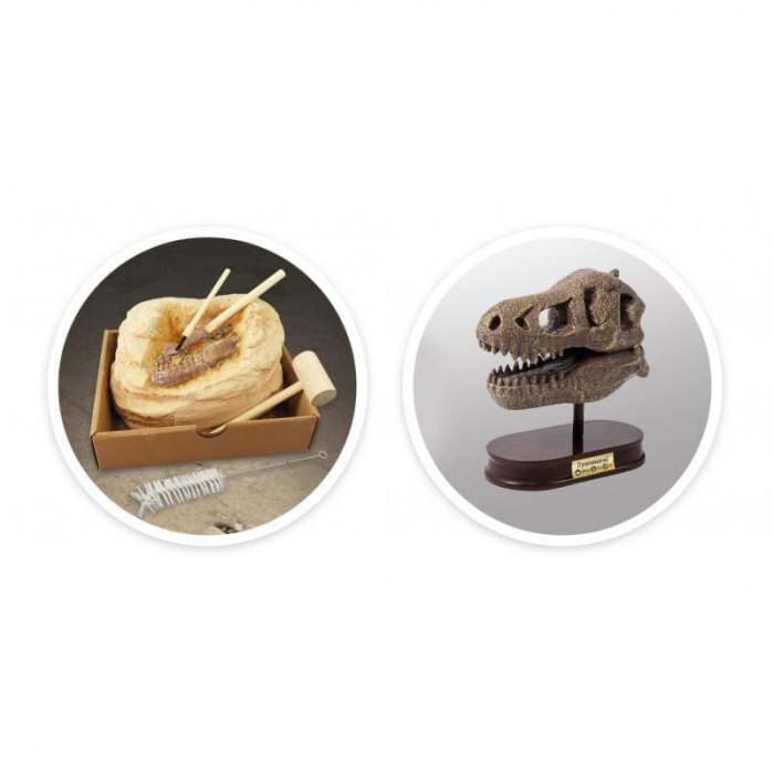 Kit de sapat - Craniu T-Rex, set arheologie, Buki France [6]