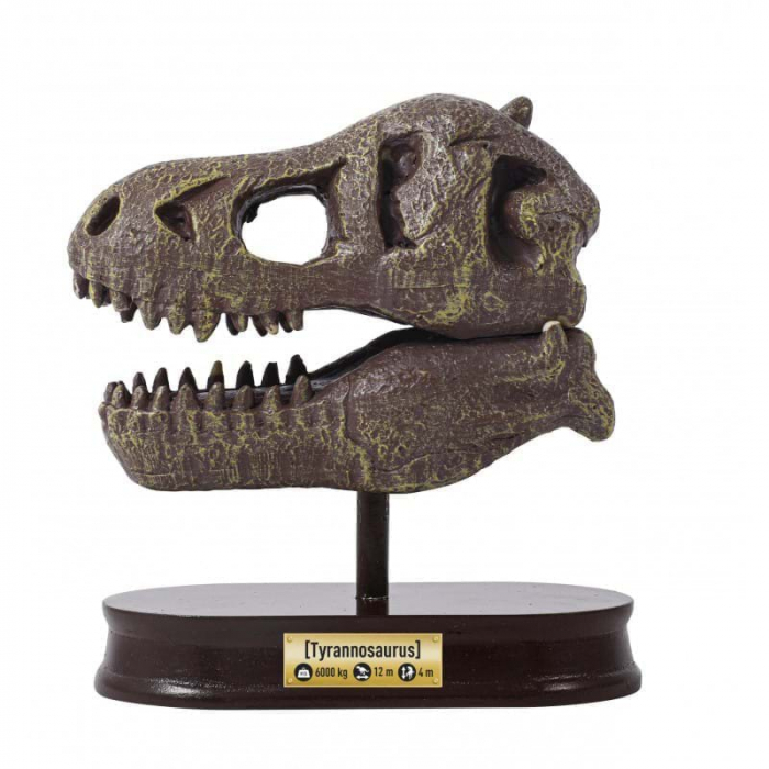 Kit de sapat - Craniu T-Rex, set arheologie, Buki France [4]