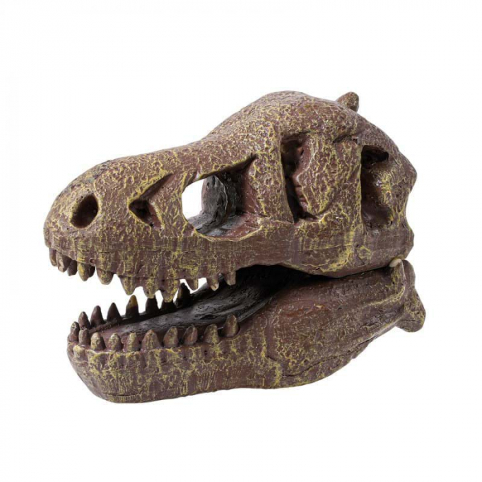 Kit de sapat - Craniu T-Rex, set arheologie, Buki France [3]