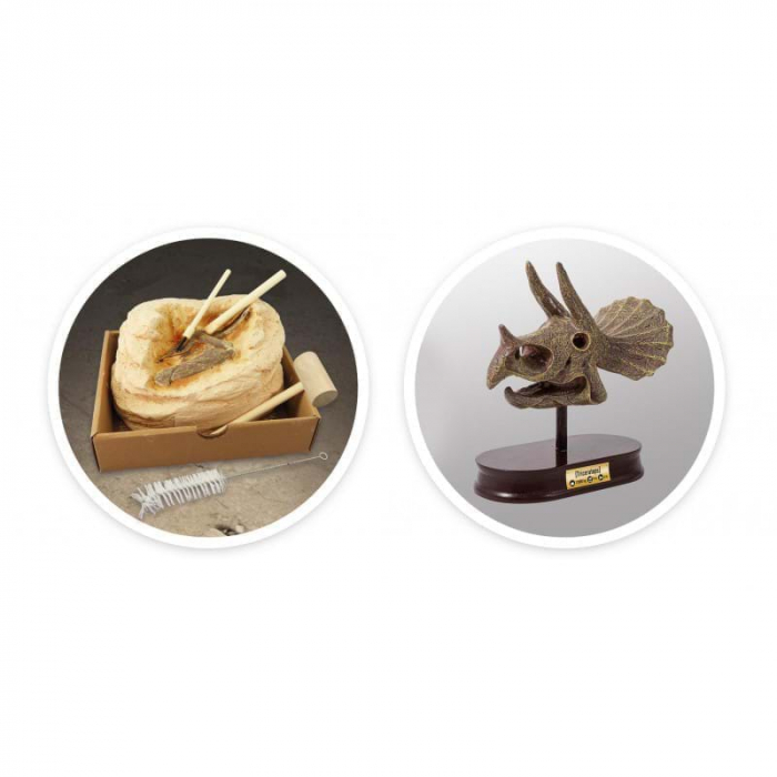 Kit de sapat - Craniu Triceratops, Set arheologie educativ, Buki France [6]