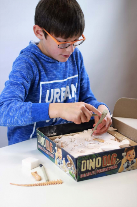 Kit de sapat - Dinozaur [8]