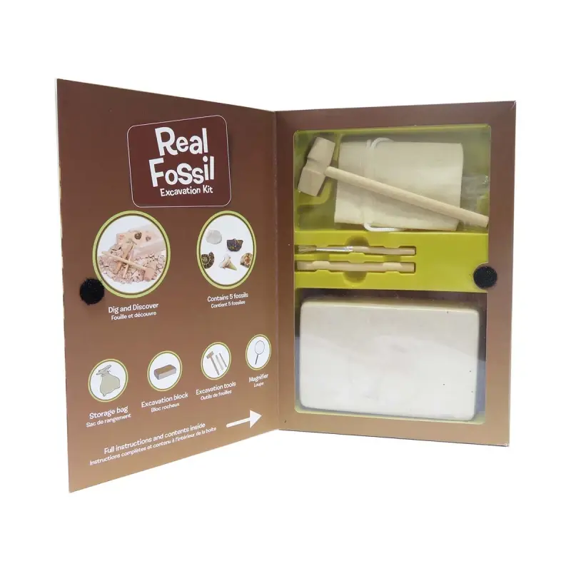 Kit paleontologie - Descopera fosile [4]