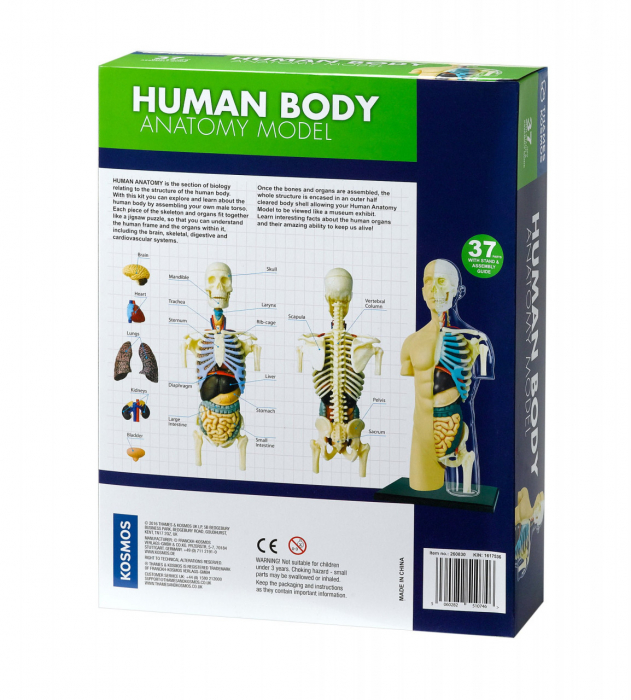Kit STEM Anatomia corpului uman, 8 ani+, varsta 6 - 9, 9+ ani, Baiat, Fata [4]