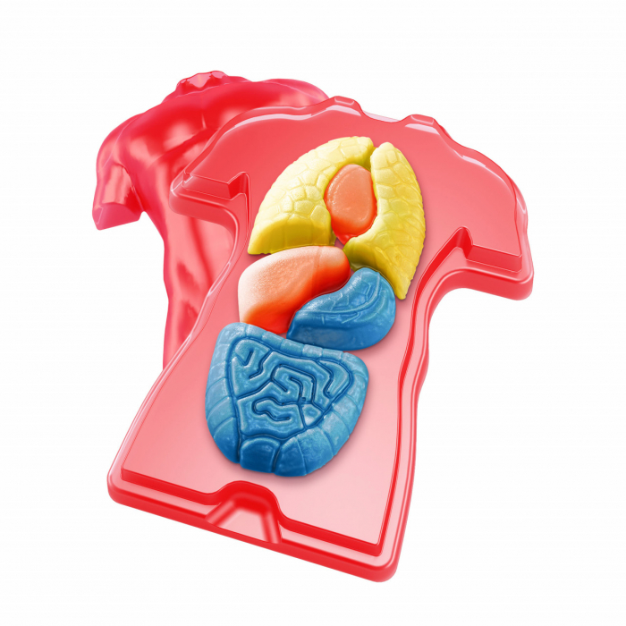 Kit STEM Organele corpului uman, inima, plămânii, rinichii, stomacul, 8 ani+, varsta 6 - 9, 9+ ani, Baiat, Fata [4]