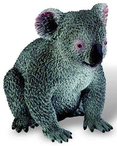 Koala Deluxe [1]