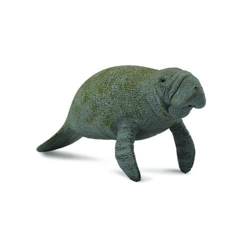 Lamantinul - Collecta [1]