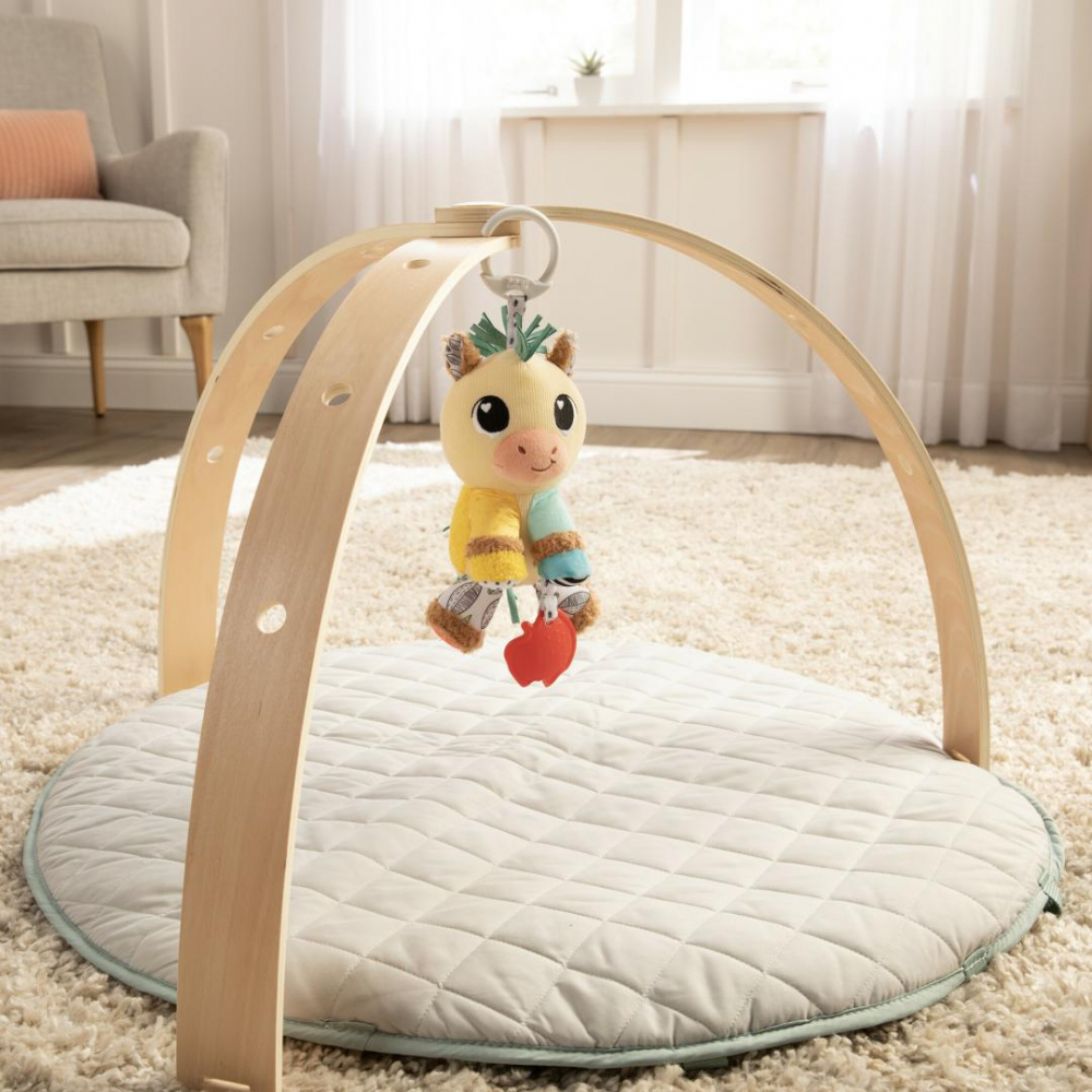 Lamaze-calutul carson clip si go [6]
