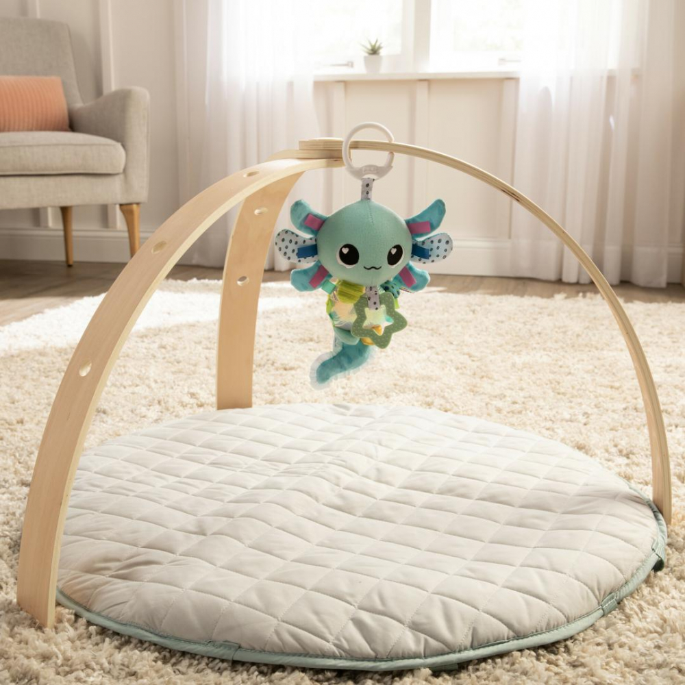 Lamaze- salamandra alise clip si go [5]
