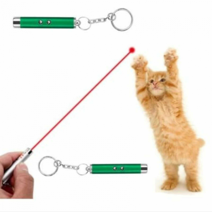 Jucarii, Lasere pentru Pisici, Pointer 3 in 1 - Micostore.ro [2]