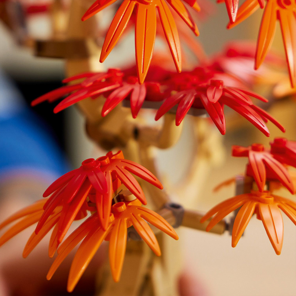  LEGO Colectia Botanica Bonsai de artar japonez rosu pentru copii cu varsta de 18 + ani [4]