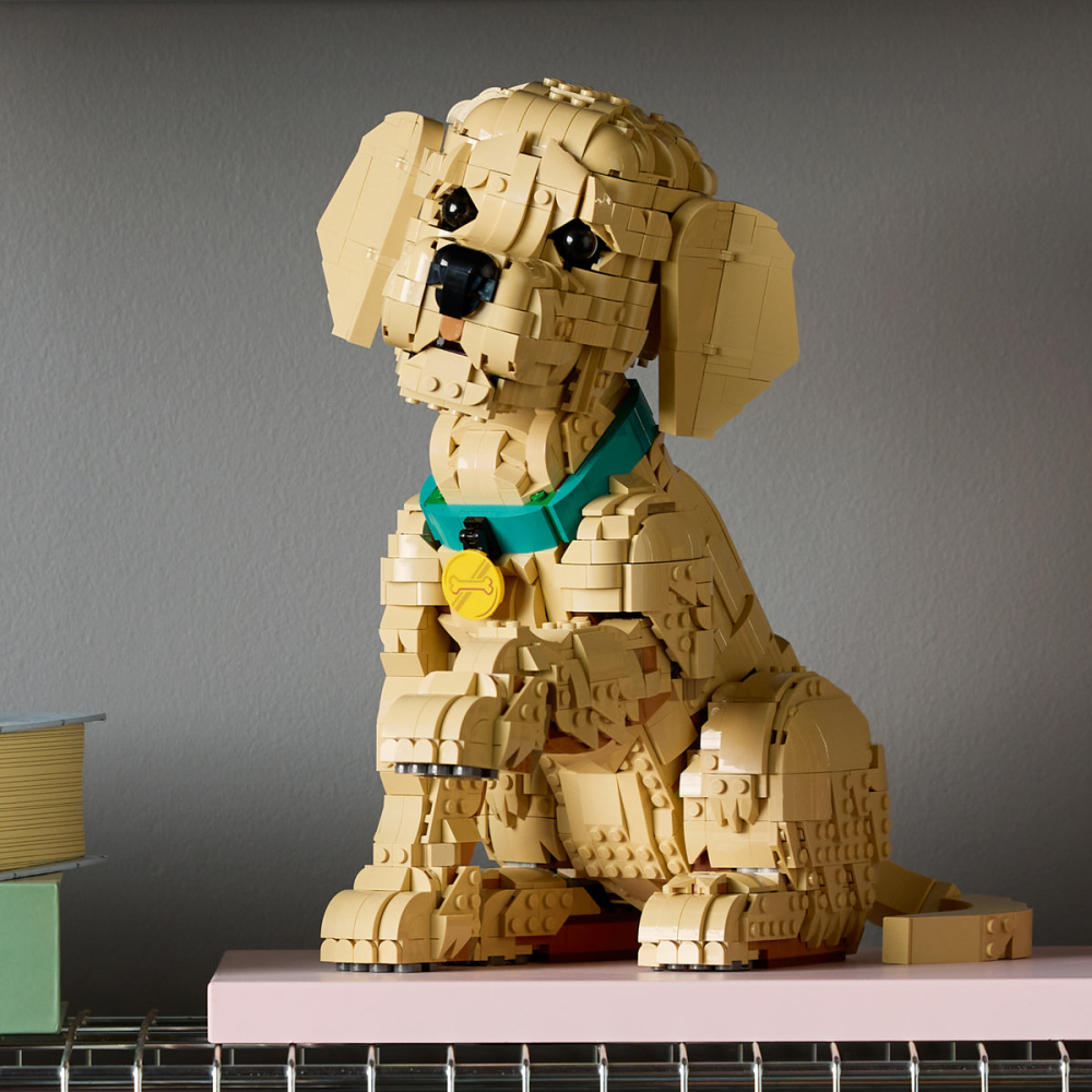 LEGO Icons (Creator Expert)  Cățeluș Golden Retriever, copiii varsta  18 + ani [4]
